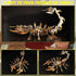 Scorpion 3D Metal Puzzles Assembly Model Kits(454PCS)